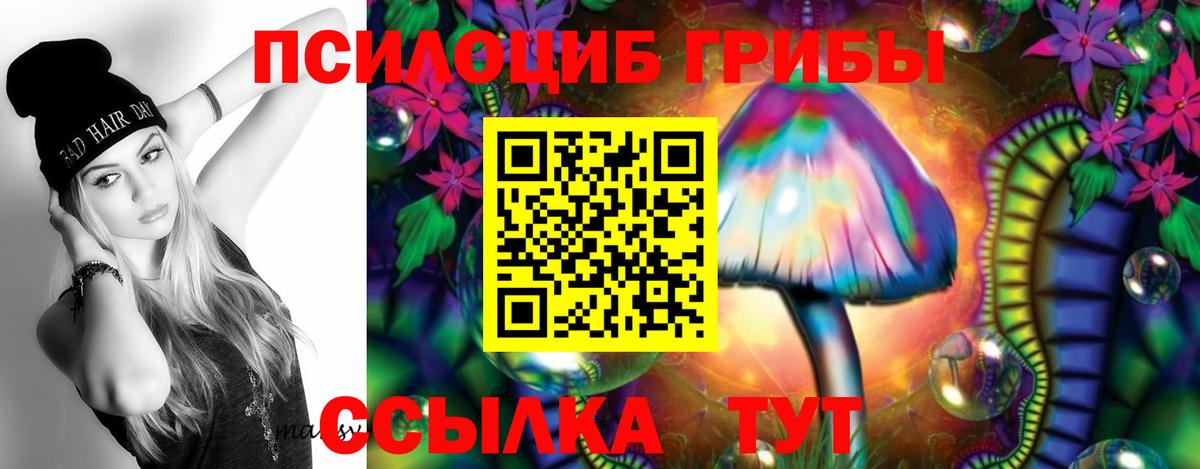 Псилоцибиновые грибы мухоморы  Галлюциногенные грибы прущие грибы  наркотики  Вход с VPN  Балтийск 