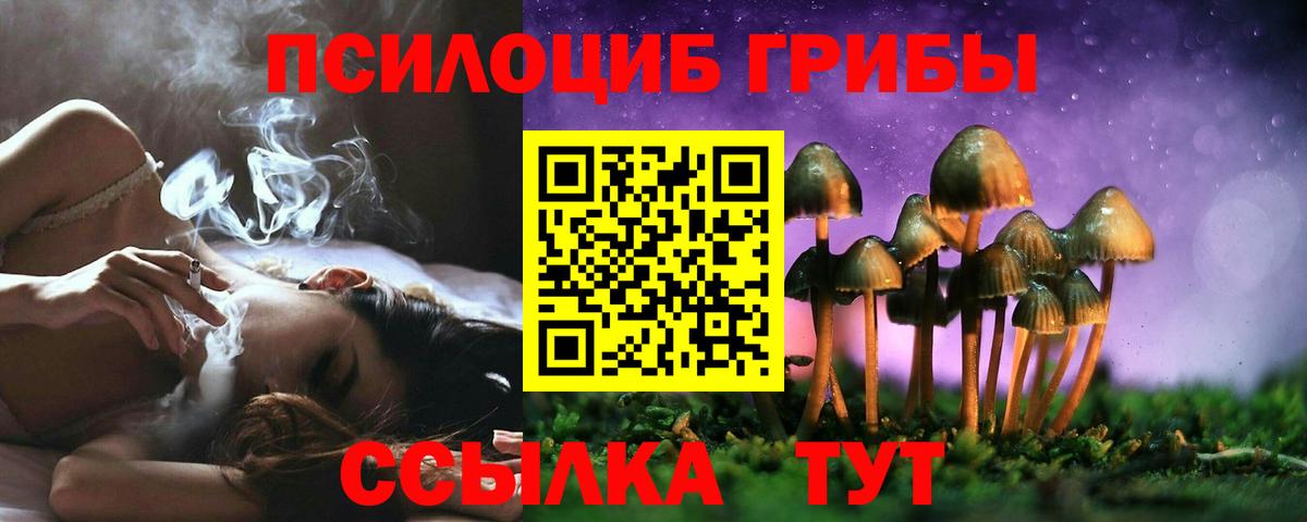 Псилоцибиновые грибы MAGIC MUSHROOMS Балтийск