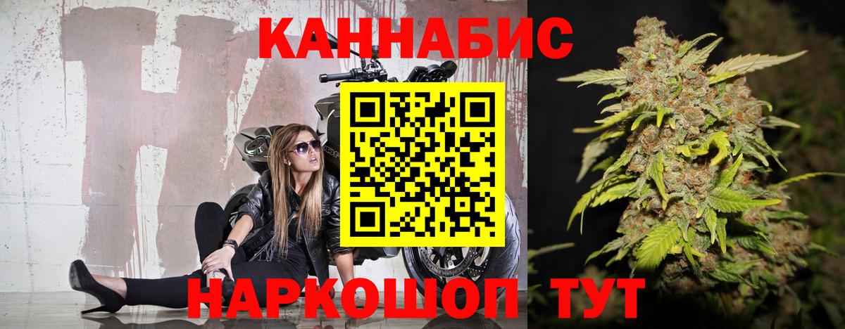 Канабис гибрид  Каннабис Amnesia  Балтийск  Шишки марихуана сатива  Каннабис планчик  Вход с VPN 
